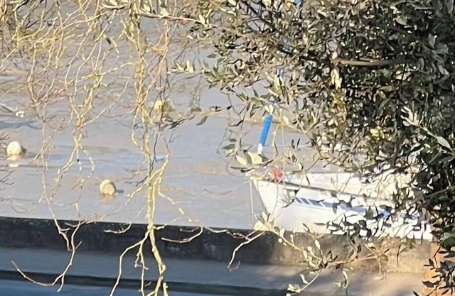 Gourmalon Rez de Jardin à Proximité Immédiate du Vieux Port Face au Château