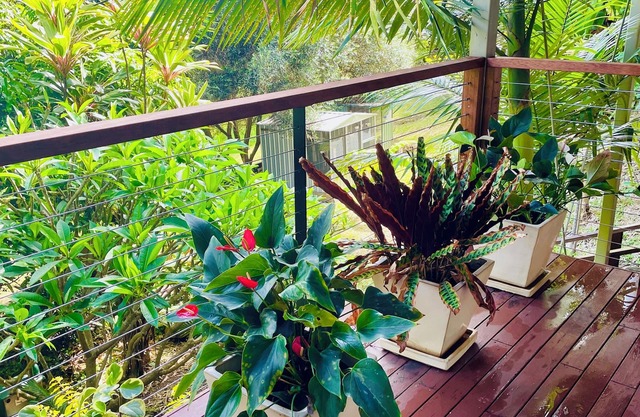 Grandview Retreat, Hinterland Self Contained Apartment