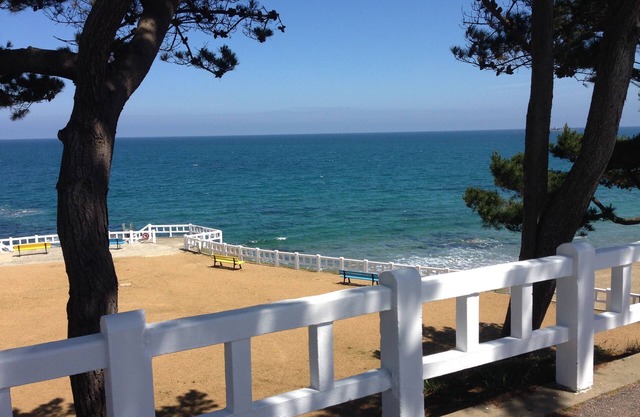 Grange aux Hirondelles Charming cottage 500m from the sea and Palus beach.