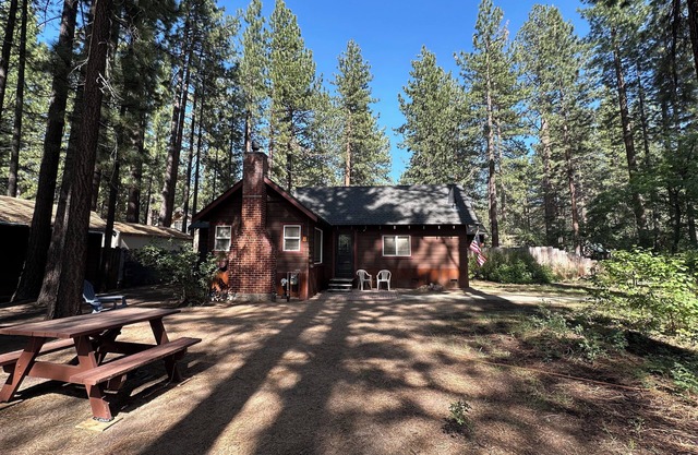 Great forest cabin with fast WiFi in charming convenient historic neighborhood.