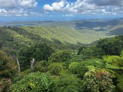 Green Cauldron, Homestay, Tamborine Mountain, Private Room, Ensuite, Private Courtyard, Gold Coast Views