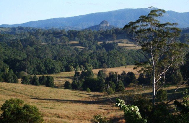 Grey Gum Lodge