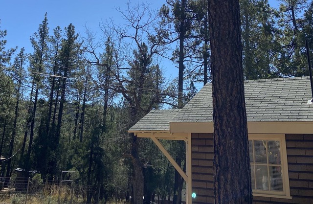 Grizzly Pines | Off-Grid Chalet in the Woods |