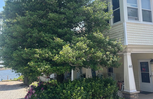 Ground floor water side 1-bedroom cottage. Rocking chair front porch. No stairs