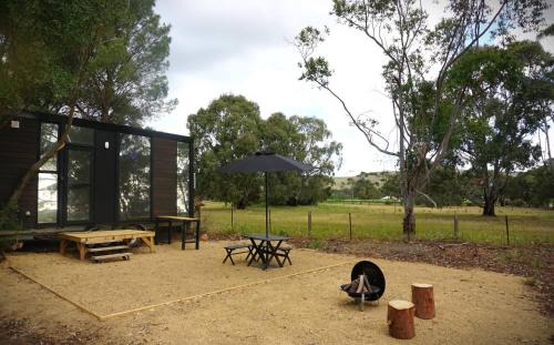 Grove at Peasant Farm by Tiny Away
