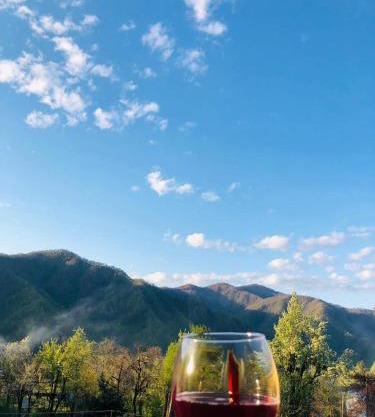 Guest House in the mountaims Gocha