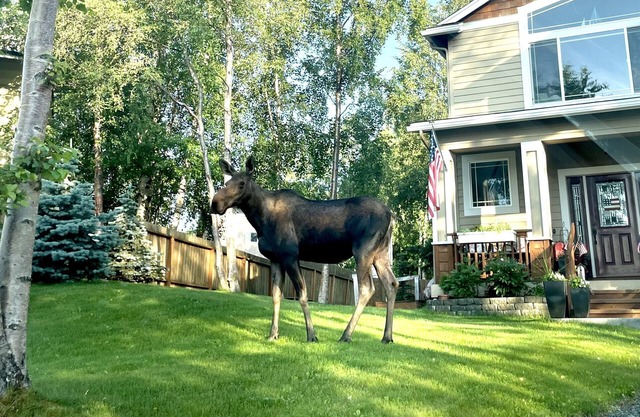 Guests Love! Private & Upscale - WiFi - Washer/Dryer - Desirable Neighborhood