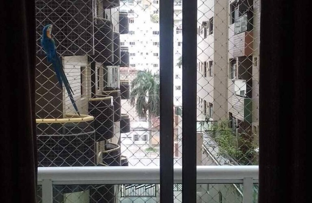 Guilhermina Praia Grande holiday apartment