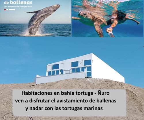 Habitaciones Bahia de las Tortugas Ñuro