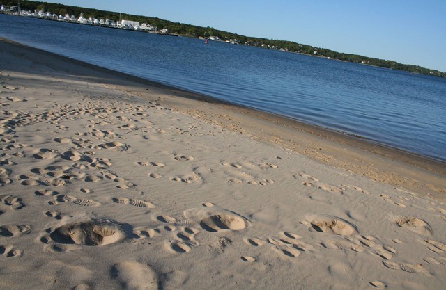 Hamptons Waterfront- On A Sandy Beach- Relax & Getaway! (SH)