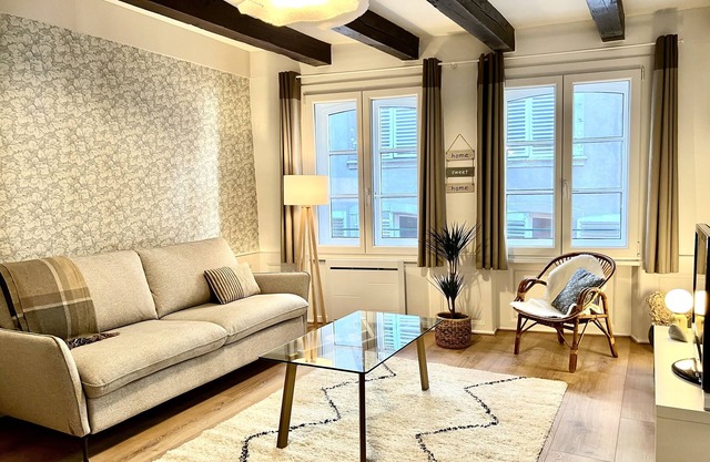 Heart of Strasbourg-Great Apartment in Petite France