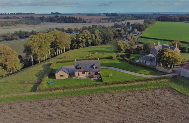Hen Pen