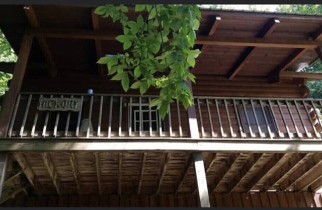 Hickory Cabin at Snowshoe! *Private Hot tub*