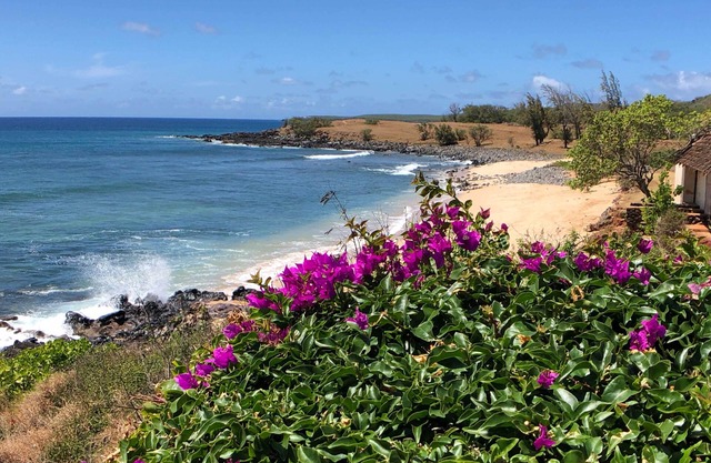 High-end Resort Condo Nestled on Molokai Shoreline