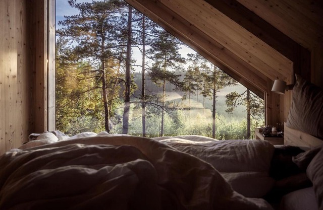 Hilltop Forest
