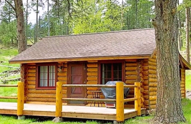 Historic Cabin next to Custer State Park, Private