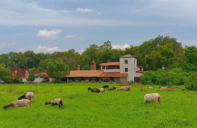 Historic country estate near the Monarch butterflies