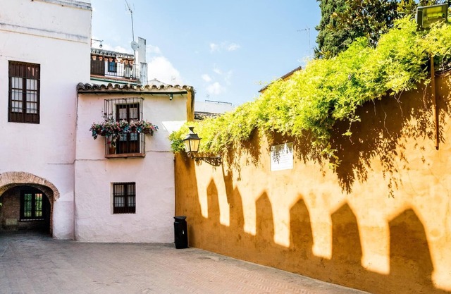 Holi-Rent Historic House Next to the Alcázar.