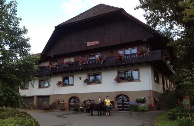 Holiday apartment Zell am Harmersbach for 1 - 5 persons with 2 bedrooms - Holiday apartment