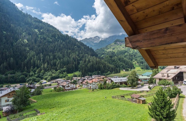 Holiday Apartment "Bamby - Vioz" with Balcony, Garden & Mountain View