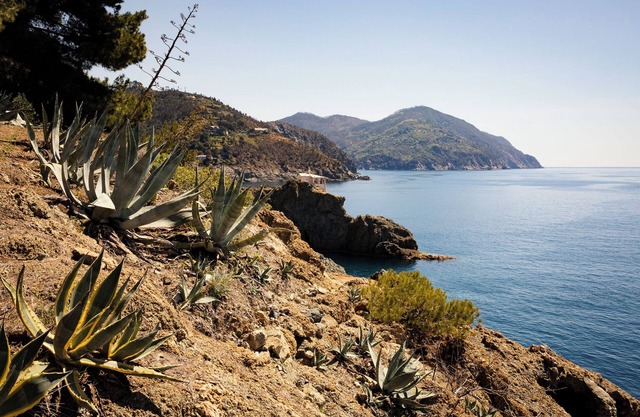 Holiday Apartment "Dependance Del Paradiso" with Private Garden and Wi-Fi