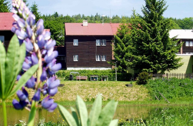 Holiday apartment in the Ore Mountains with the possibility of apitherapy