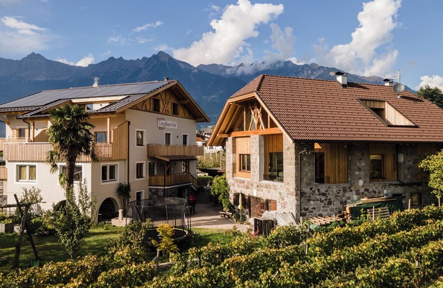 Holiday Apartment "Torgglbauer 4" with Mountain View, Pool, Terrace & Wi-Fi