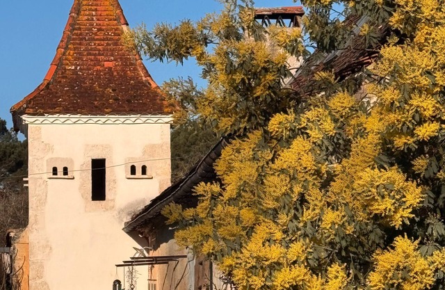 Holiday Home 'Domaine De La Contie' with Private Terrace, Private Garden and Wi-Fi