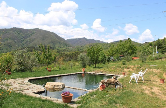 Holiday Home in Tuscany with Natural Pond