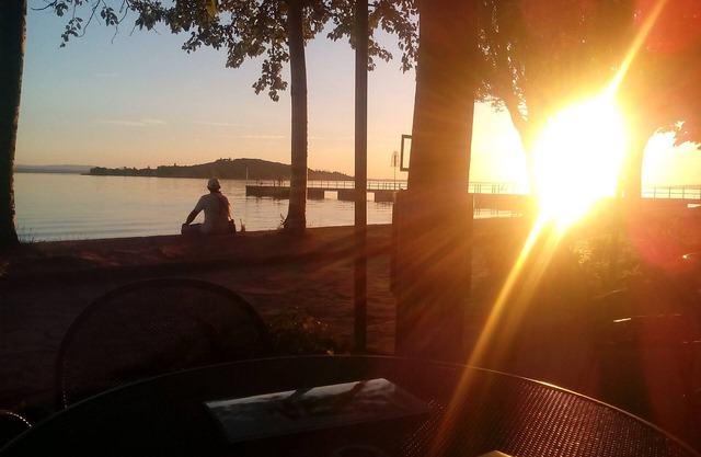 Home holiday whit pool