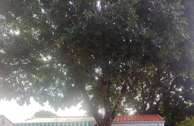 Homerez - Bungalow 10 km from the beach for 4 pers. with terrace in Saujon