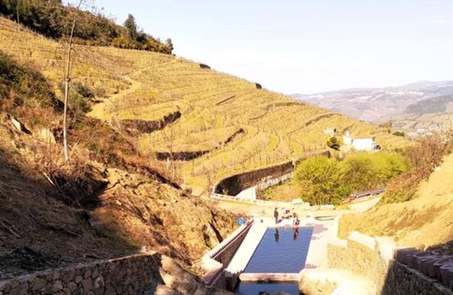 Homerez - Nice villa for 6 ppl. with swimming-pool, garden and terrace at Lamego