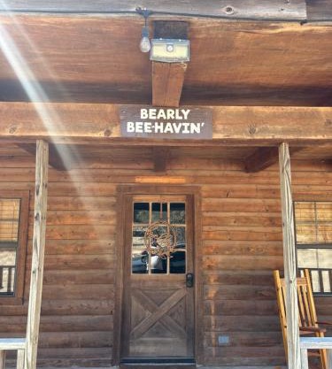 HoneyComb Hideouts Bearly BeeHavin cabin