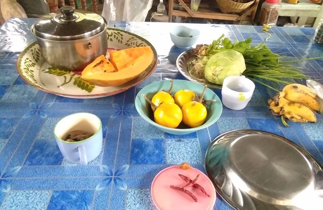 Host family Pai learning nature (free pick up)