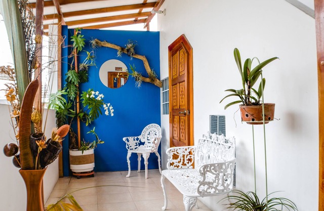 Hostal Macaw