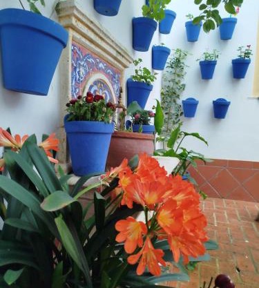 Hotel La Ribera