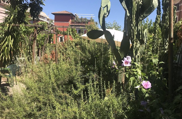 Hotel Lodi