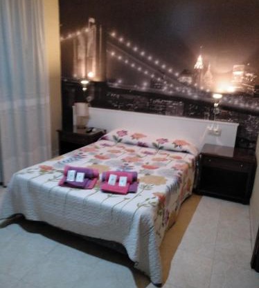 Hotel Nuevo Ara