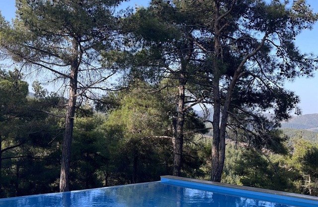 Hukoy Doga Oteli - Bungalov