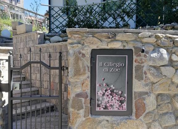 IL CILIEGIO DI ZOE