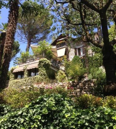 Il Pioppo Antico