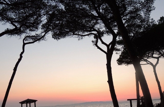 Independent apartment in a farmhouse