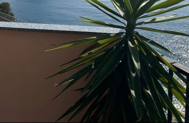 Isola House with a beautiful terrace, amazing sea view and private parking