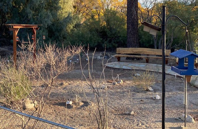 ~(‾▿‾)~ Jack's Place ~ Birding Bliss & Cozy Beds Await!