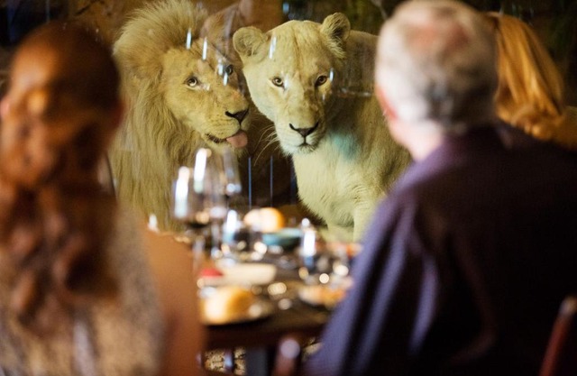 Jamala Wildlife Lodge