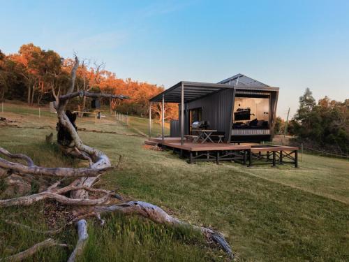 Jana the Tiny Cabin in Serpentine