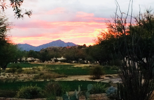 Javelina Hacienda - Relax and Enjoy - Just Say Ahhhhhh !
