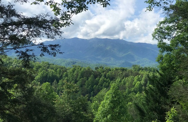 Jaw Dropping View in Black Bear Falls