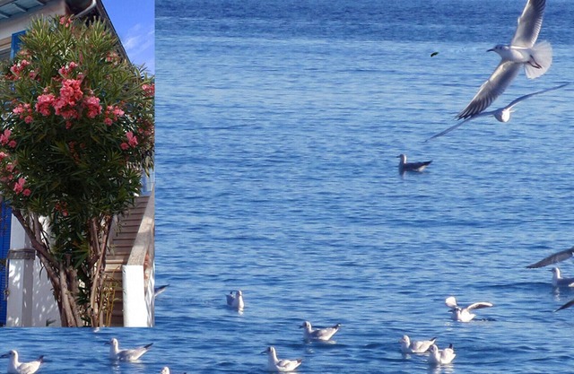 Juan Les Pins: apartment/flat - Juan les Pins