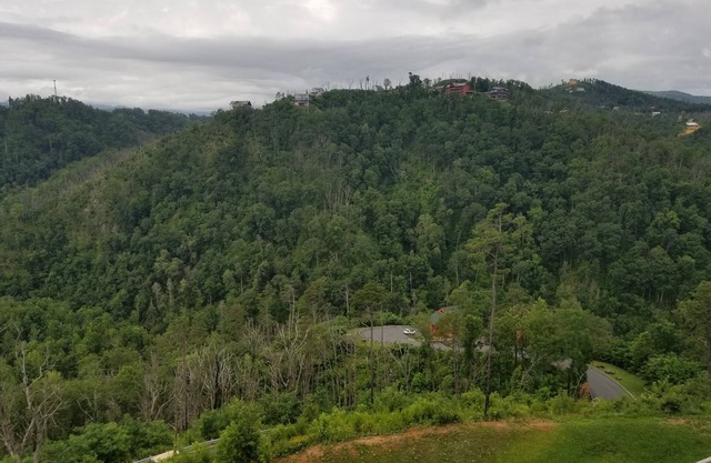 July 1 - 8th, 2023 Mountain getaway!